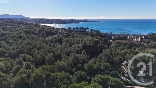Appartement Studio Cabine à vendre - 1 pièce - 22.5 m2 - SANARY SUR MER - 83 - PROVENCE-ALPES-COTE-D-AZUR - Century 21 Immobilière Charlemagne